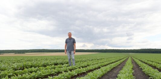 Odmiany buraka ćwikłowego – sprawdzone standardy i nowości – co wybrać?